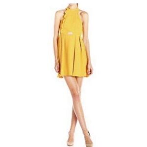 BCBG generation dress